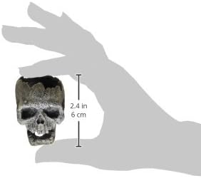 BLUE RIBBON PET PRODUCTS 006072 Exotic Environments Cracked Human Skull, Mini