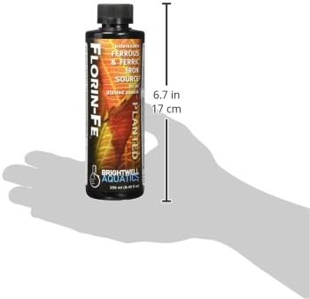 Brightwell Aquatics Florin-Fe Iron Supplement for Planted Aquariums – Dual-Action Iron Source for Plant Growth, Chlorophyll & Vibrant Foliage – Daily Dosing, 250 ml