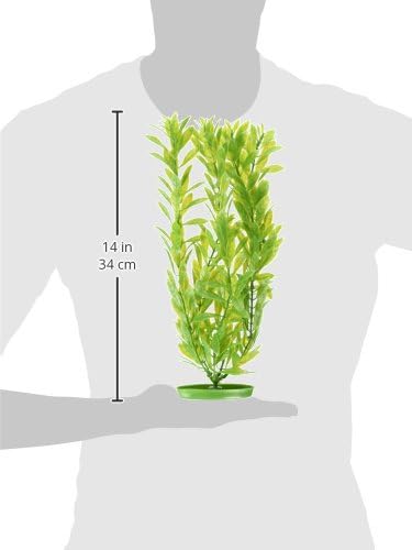 Marina Aquascaper Fish Tank Decorations, Hygrophila Plant, 15-Inch