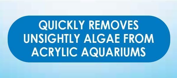 Algae Hand Pad For Acrylic