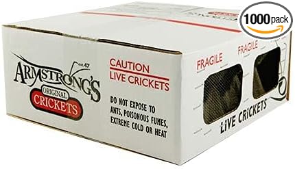 1000 Count, Live Crickets: Adult (Banded Crickets)