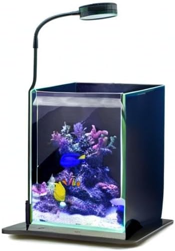 Nano Reef Pro Aquarium LED Light, Dimmable Full Spectrum Marine LED for Saltwater Coral Fish Tanks, Macroalgae Reef Jars (Large -12Watts (13.5X13in Stand))