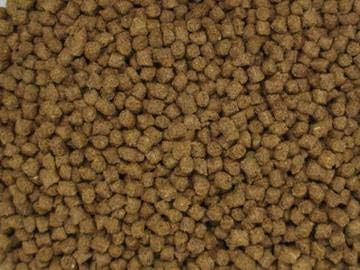 NutriSpheres - Sinking Diet for Snails, Shrimp & Bottom Feeding Fish
