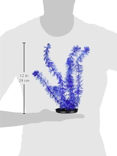 Marina Vibrascaper Hornwort Large Plant, 12-Inch