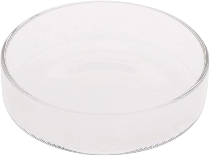 Youngy Arrival Fish Tank Feeder Aquarium Shrimp Glass Feeding Bowl Dish Tray 6 Size - D