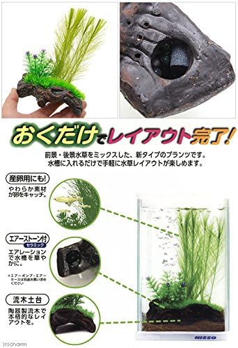 ニッソー Nisso Little Garden Driftwood 1