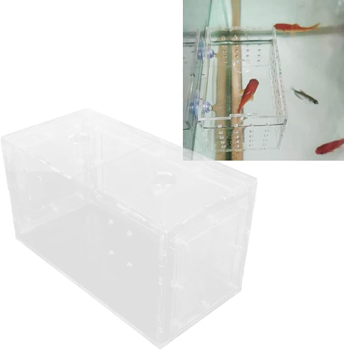 Fish Hatchery, Impact Hook Length Mesh Side Fish Breeding Box Transparent for Aquarium Small Fish (20 * 10 * 11CM)
