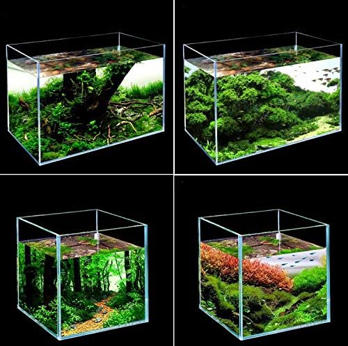 Rimless Low Iron, Glass Aquarium Tank 5mm Thickness Standard Jointed (7.8" L × 8.6" W × 11" H)