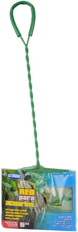 Marina 5-Inch Black Coarse Nylon with 10-Inch Handle (Pack of 2)