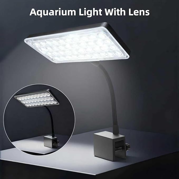 Vimvins 10 Gallon Glass Small Fish Tank with Filter Light and Lid, Aquarium Starter Kit