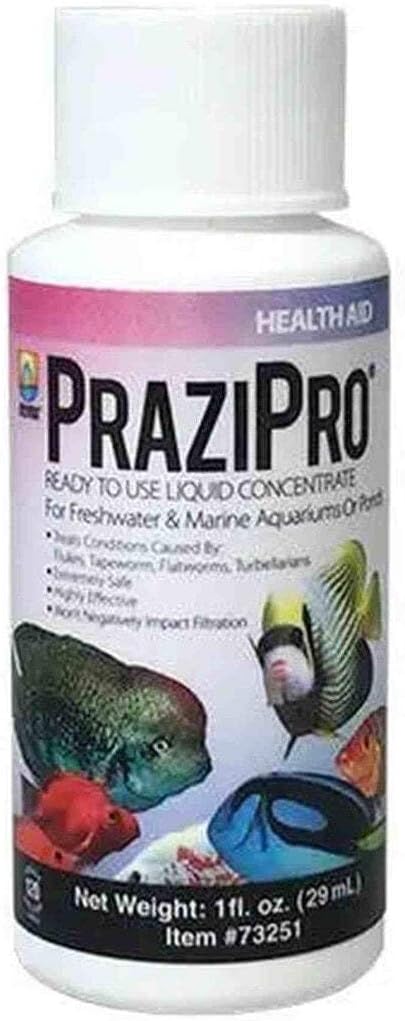 PRAZIPRO Safe & Fast FLUKE Treatment