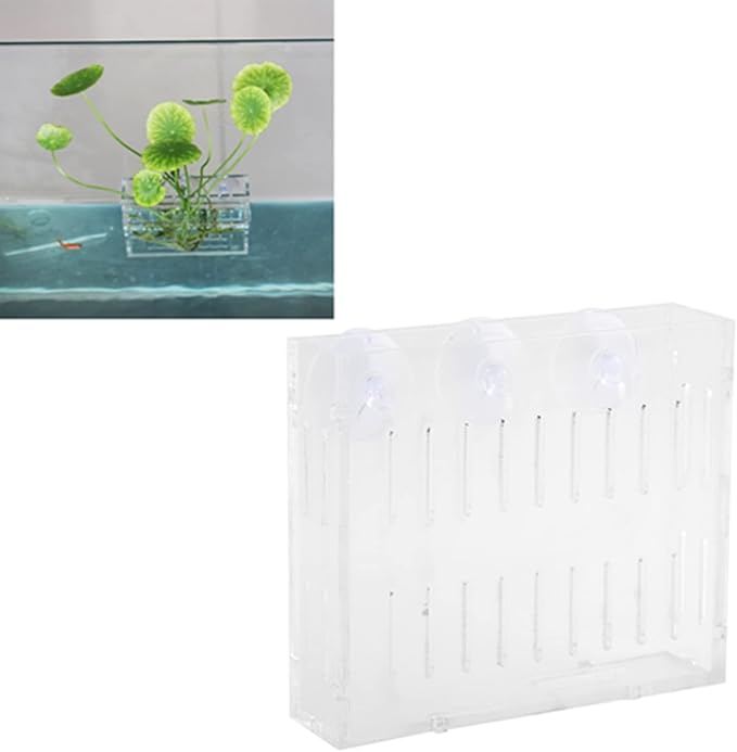 Aquarium Plant Grass Cup Transparent Water Plant Growing Holder, Acrylic Fish Water Plants Planter Grass Container with Suction Cups, Decorative Aquarium Plant Grass Cup