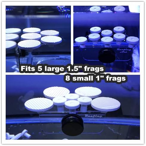 8 Plugs Coral Frag Rack (Set of One)