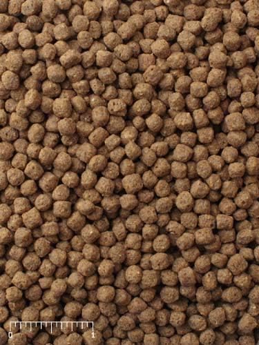 Mazuri Koi | Platinum Bits Nutritionally Complete Koi Fish Food | for Small Koi - 20 Pound (20 lb.) Bag