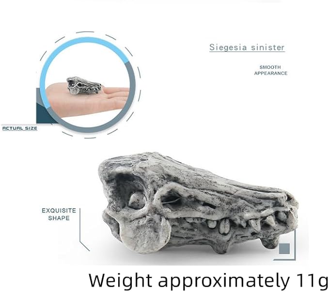2inch Aquarium Decoration Realistic Animal Skulls Fish Tank Small Skull, Resin Skull Figurine Fish Shrimp Shelter Cave Hideout Turtle Hidden Tank Decoration,Mini Micro Landscaping Decor (8, Brown)