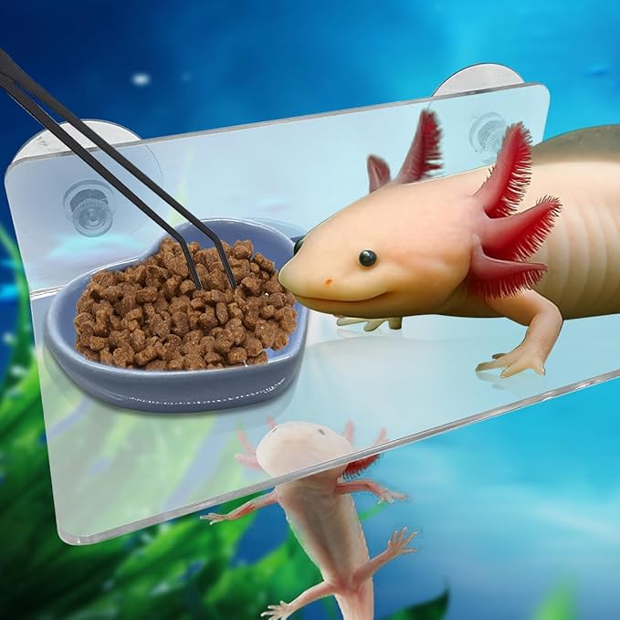 4 Pcs Axolotl Tank Accessories, Hammock with Feeder Bowl Feeding Tongs Tweezers, Aquarium Accessories for Tank, Tank Starter Kit for Axolotl Aquarium