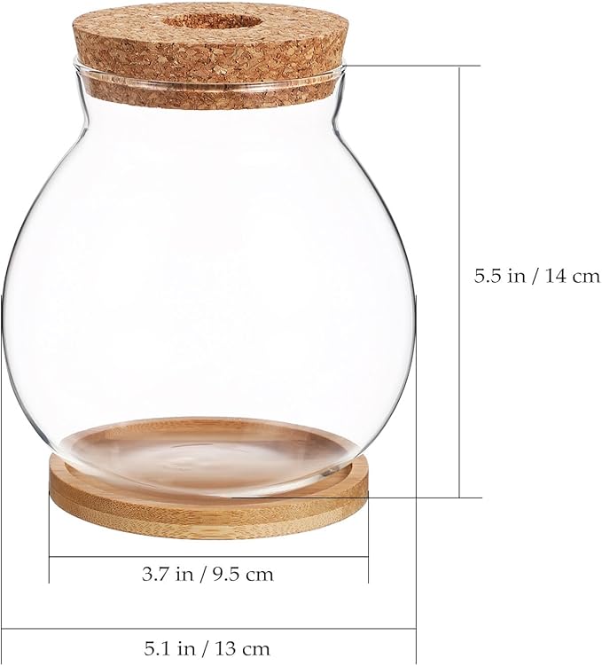 Milisten Desktop Fish Tank Small Glass Fish Bowl with Bamboo Cushion and Wood Lid Hydroponic Plant Terrarium Betta Aquarium for Home Office Decoration