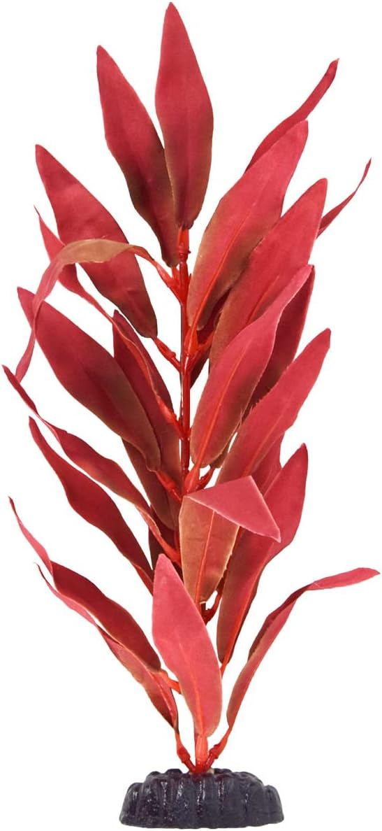 Underwater Treasures Silk Red Hygro - 12"
