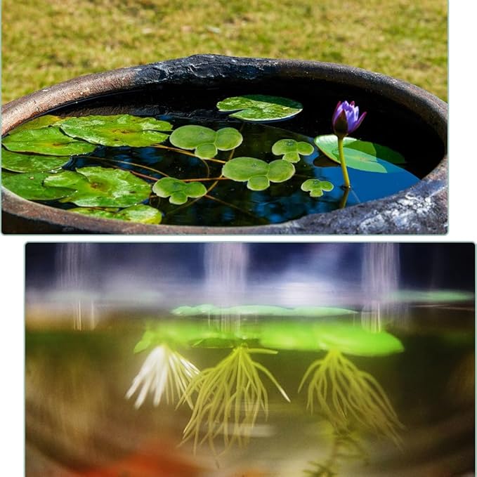 SUPERFINDINGS 90PCS 3 Sizes Artificial Floating Duckweed Plastic Aquarium Floating Plant Artificial Floatings Plants Fish Tank Plant Simulation Floatings Plants for Fish Tank Aquariums