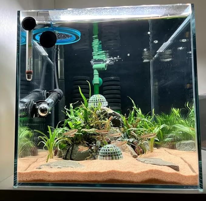 4 Pack Aquarium Moss Ball Holder, Fish Tank Moss Ball Live Plants Shaping Filter, Exotic Decor Ornaments for Aquarium Shrimp Betta Fish Tank (4 Pack)