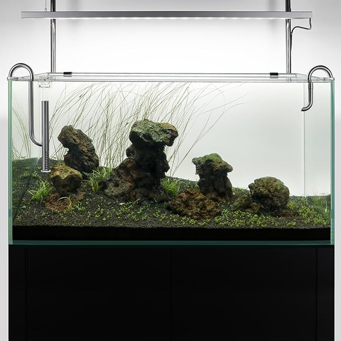 LINLAN 304 Stainless Steel Lily Pipe Inflow and Outflow with Mini Aluminum Alloy Pipe Holder, 360° Rotatable Outflow, Fits 12/16mm(1/2" i.d.) Filter Hose, for Rimless Aquariums (12mm-with Skimmer)