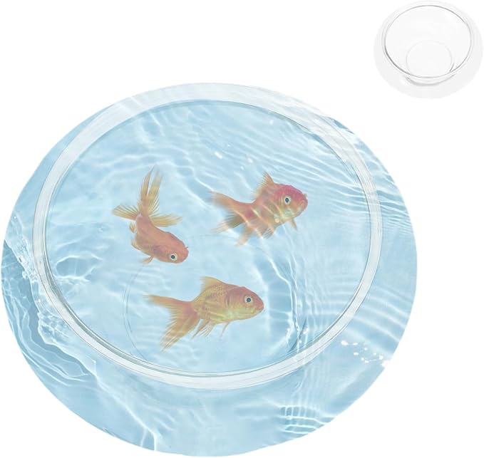 DOITOOL Clear Fish Bowl Vase Glass Bubble Bowl Round Shallow Planter Terrarium Fish Bowl Water Lily Bowl Wide Mouth Flower Vase Aquatic Plant Pot Hydroponic Planter Glass Fish Tank Bowl, S