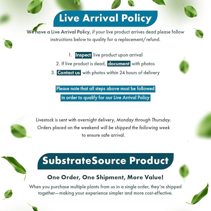 SubstrateSource Cryptocoryne Live Aquarium Plants - Freshwater Plant for Aquariums, Planted Fish Tanks - Beginner Friendly (Parva, 1 Pot (3-5 Plants))