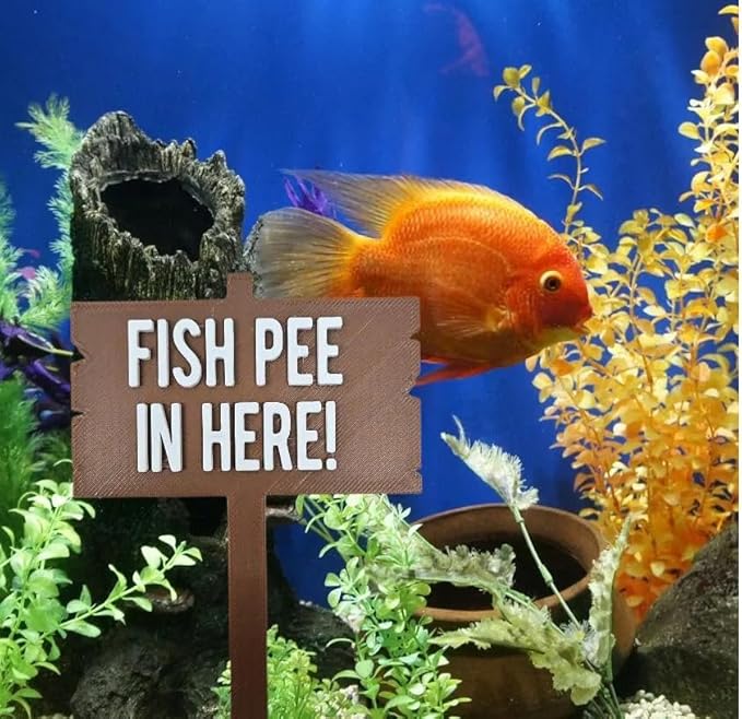 Funny Fish Tank Decor Fish Pee in Here Aquarium Decor Gag Gift for Fish Tank Gag Gift for Friend Moana