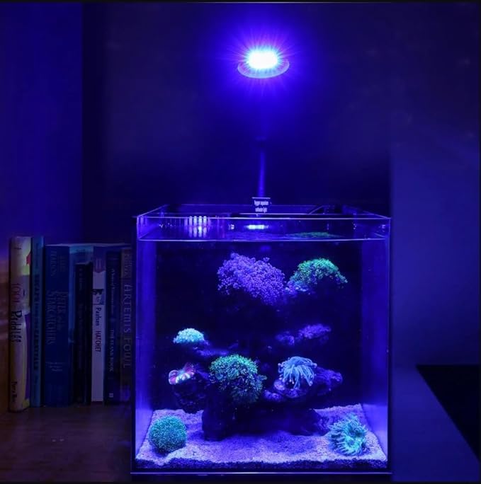 Ahareef Clip-on Full Spectrum LED Reef Light 30W for SPS/LPS Corals โ Dimmable Aquarium Light with 3 Timers/5 Brightness/3 Models, Perfect for Saltwater & Nano Reef Tanks (16-20 Inch)