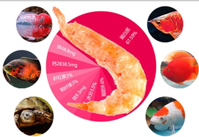 2000ml Turtle Food Freeze Dried Krill Aquarium Pond Fish Food Floating Shrimp Carnivore Koi Tropical Cichlid Turtle Feed (2000ml)