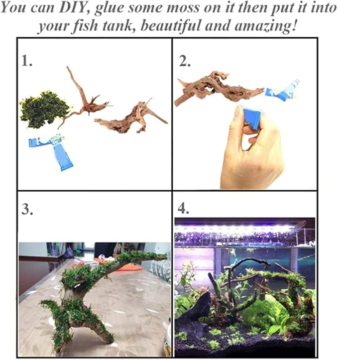 Hamiledyi 7-10in Natural Aquarium Driftwood 2PCS Large Reptile Spider Wood Ornament Assorted Branches Natural Driftwood Log Fish Tank Decoration