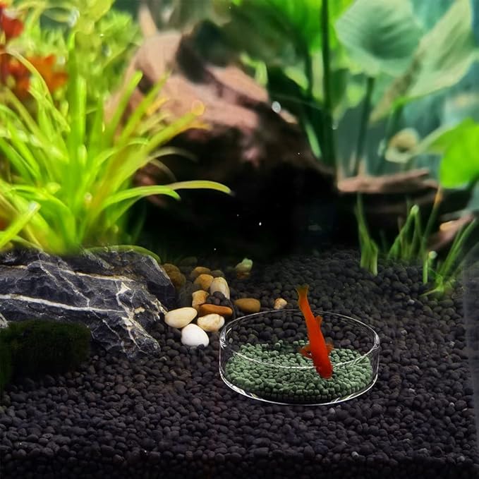Aquarium Glass Feeder Dish Shrimp Feeding Dish Round Clear Glass Fish Feeder Bowl Fish Tank Food Tray Container Prevent Food Spilling, 65mm