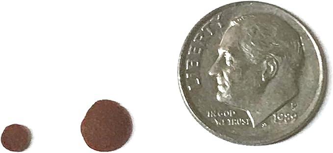 3 mm Red Sinking Wafer - Sinking Algae Wafers That Provides Balanced Diet for Plecos, Snails, Cory Cats, Catfish, Shrimp, and Crayfish (2 Pound)