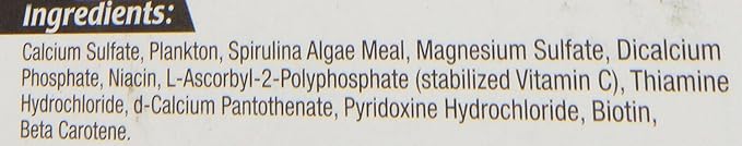 Zoo Med Laboratories AZMBB6 Plankton Banquet Block Feeder Giant, 2 Count