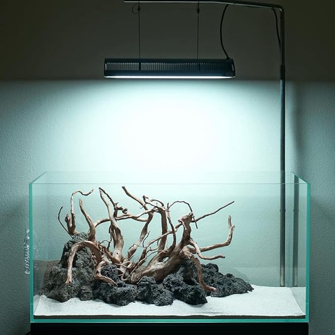 SubstrateSource Natural Stone for Aquarium, Terrarium, Paludarium, Reptile Enclosures - Set of Decorative Rocks for Landcapes, Aquascaping, Fish Tank Decor (Icelandic Lava Rock, 21 Pounds, 3-8")
