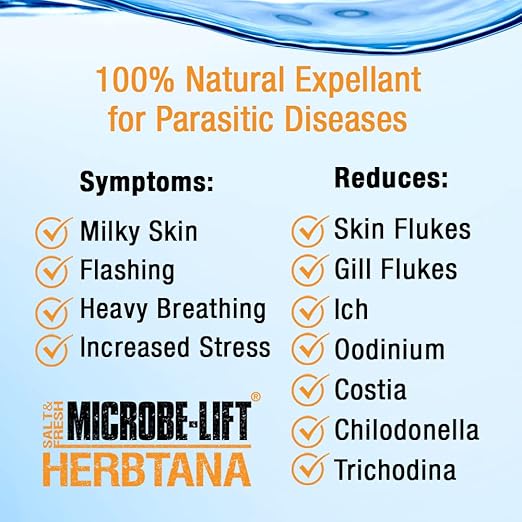MICROBE-LIFT Herbtana Fish Medicine, Immune Booster and Parasite Treatment for Aquarium Fish Health, Ich Treatment, Use in Freshwater Tank or Saltwater Aquarium, 8 Ounces (HERB08)