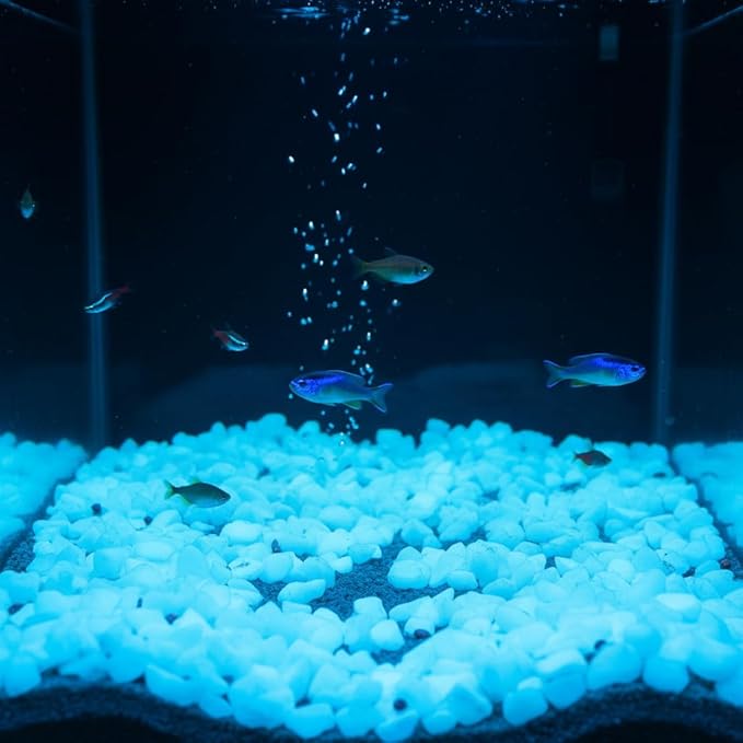 Shiny Stone Glow in The Dark Aquarium Neon Gravel Sand, Decorative Rocks for Fish Tank and Fairy Garden, Home Dec,305g/0.67lbs (15-22mm, Sky Blue)