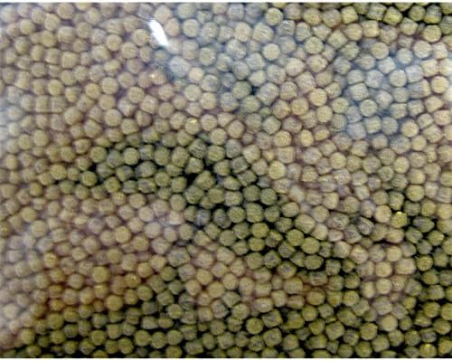 Hikari Sinking Cichlid Excel - Mini Pellets - 2.2 lb