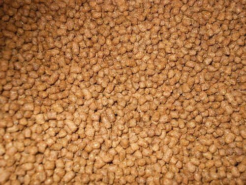 8 lb. box of 35% Protien Floating Koi Food Made in the USA