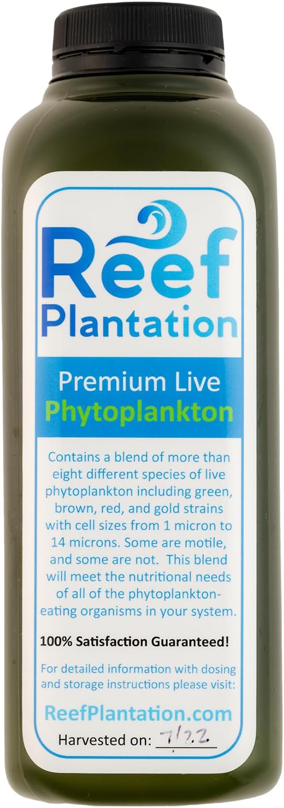 16oz Premium Live Phytoplankton Blend - Food for Corals & Copepods in Reef/Saltwater Aquariums - Over Eight Different Strains of Live Phytoplankton
