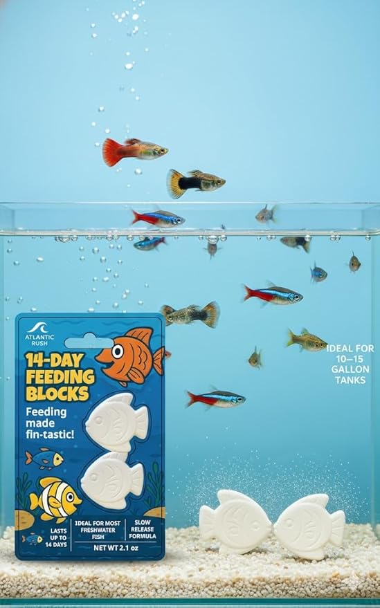 Vacation Feeder for Aquarium - 14 Day Feeder Block - Slow Release Fish Food for Betta, Goldfish & Tropical Fish - Aquatic Pet Tank Food (1 Pack of 2 Blocks)