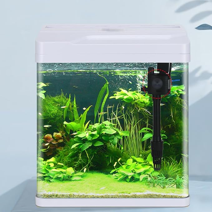 24PCS Rubber Fish Tank Suction Cups Black Sucker Clips Fish Tank Attachments for Tank Pump, Overhead Line Tube, Fish Tank Aeration Setup