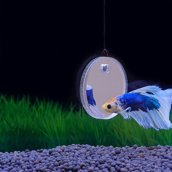 Thereisno Betta Training Mirror Fish for Tank Fish Antidepressant Work Out 5/6/7cm Special for Betta Fitness Mirror Training Mirror