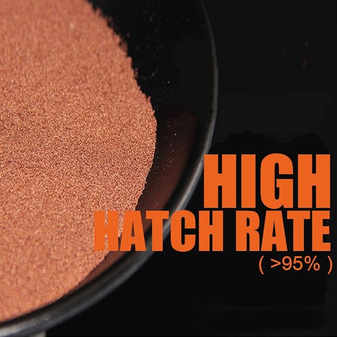 Brine Shrimp Eggs for Aquatic Foods Baby & Fry Foods The Popular 90% Hatch GSL Brine Shrimp Eggs (0.5 OZ)