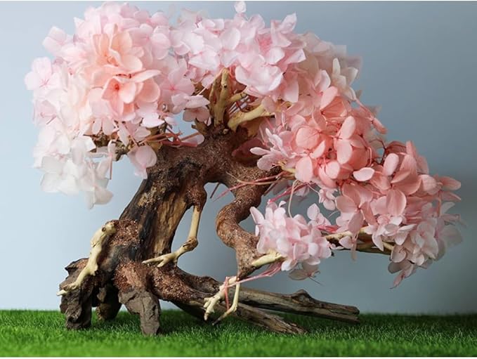 Bonsai Driftwood Aquarium Tree (8in H x 6in L), Handcrafted Fish Tank Decoration | Easy to Install Driftwood Bonsai for Fish Tank | Decor Aquascape Wood (Bonsai Tree On Rocks)
