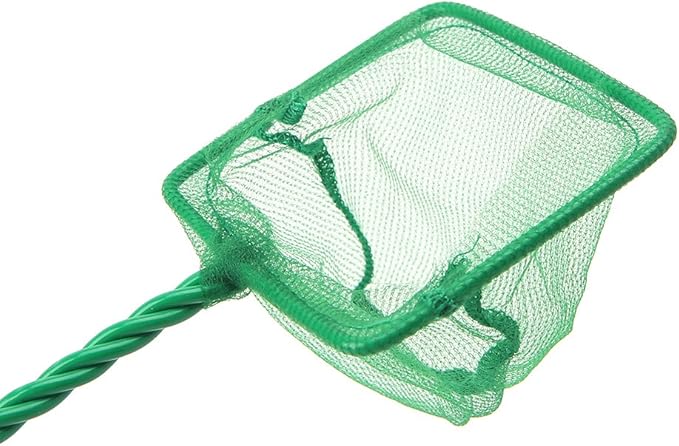 Aquarium Fish Net Fine Mesh Skimmer Filter Quick Catching Net Safe for All Fish & Shrimp 3 4 5 6 8 10 Inch Aquarium Heater Light Thermometers Gravel Sand Decorations