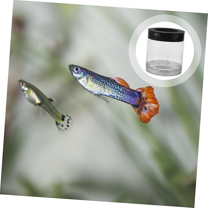 Ipetboom Fish Tank Hatching Box Floating Breeding Box Survival Rate Enhancer for Baby Fry Fish