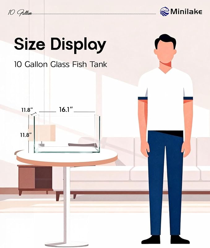 10 Gallon Ultra Clear Rimless Glass Fish Tank, Easy to Maintain Small Aquarium for Betta, Goldfish, Shrimp, Snails and Aquatic Plants