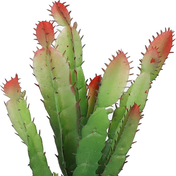 Artificial Cactus Plant - Plastic Cactus Decorations for Home, Terrarium, and Reptile Habitats - Simulation Plastic Aquatic Plants for Flower Arrangements