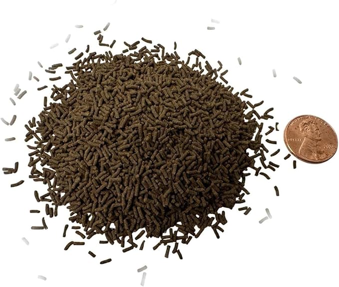 Northfin DynariX Super Sticks Fish Food – 1mm Sinking Sticks – Black Soldier Fly Larvae & Krill – High-Protein, Sustainable Formula